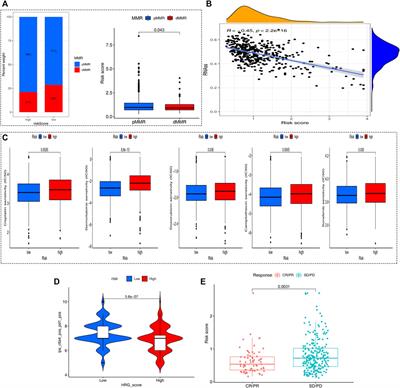 Identification of Hypoxia-Related Subtypes, Establishment of Prognostic Models, and Characteristics of Tumor Microenvironment Infiltration in Colon Cancer